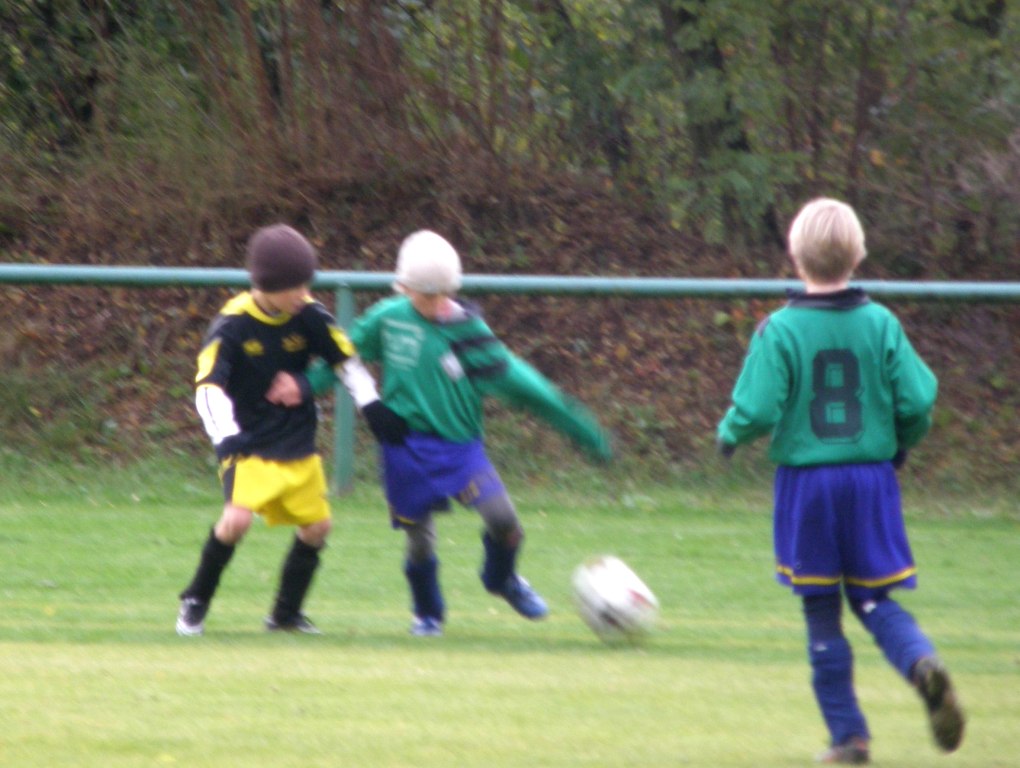 PA170288.JPG